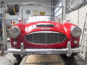 Immagine 37/50 di Austin-Healey 100&#x2F;6 (BN6) (1959)