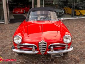 Bild 8/39 von Alfa Romeo Giulietta Spider (1961)