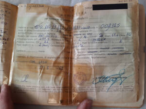 Bild 22/23 von Autobianchi Bianchina Convertible (1962)