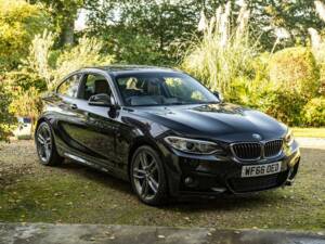 Image 43/50 of BMW 220i (2016)