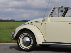 Image 45/50 of Volkswagen Beetle Speedster (1963)