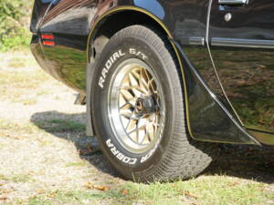 Image 68/69 of Pontiac Firebird TransAm (1979)