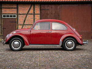 Image 12/38 of Volkswagen Beetle 1300 A (1967)