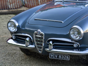 Bild 15/38 von Alfa Romeo Giulia 1600 Spider (1963)