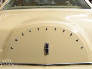 Image 41/49 of Lincoln Continental Mark V (1979)