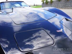 Bild 33/58 von Chevrolet Corvette Sting Ray (1979)