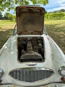Bild 19/19 von Austin-Healey 3000 Mk I (BN7) (1960)