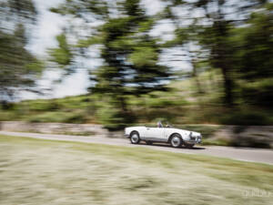 Image 69/71 de Alfa Romeo Giulietta Spider (1960)