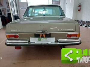 Bild 6/10 von Mercedes-Benz 280 SE (1970)