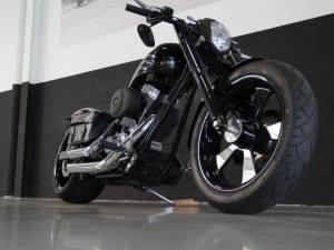 Bild 2/33 von Harley-Davidson DUMMY (2008)