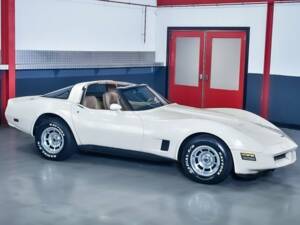 Immagine 7/7 di Chevrolet Corvette (1981)