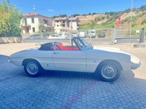 Imagen 7/7 de Alfa Romeo 1600 Spider Duetto (1967)