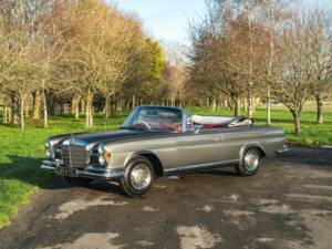 Image 12/50 de Mercedes-Benz 280 SE 3,5 (1971)