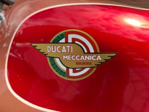 Bild 19/27 von Ducati DUMMY (1959)
