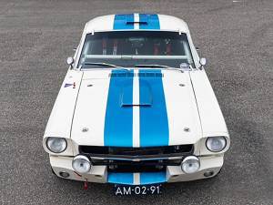 Immagine 4/15 di Ford Shelby GT 350 (1965)