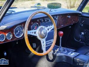 Immagine 16/44 di Austin-Healey 3000 Mk III (BJ8) (1965)