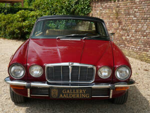 Bild 5/50 von Jaguar XJ 6 L 4.2 (1977)