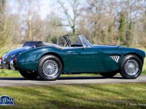 Immagine 9/44 di Austin-Healey 3000 Mk III (BJ8) (1965)