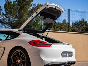 Immagine 39/50 di Porsche Cayman S (2013)