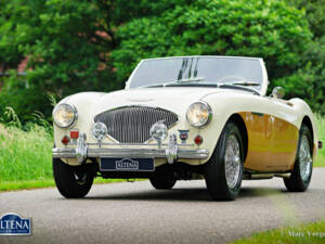 Image 37/50 of Austin-Healey 100&#x2F;4 (BN1) (1955)