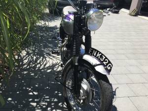 Immagine 3/16 di Triumph DUMMY (1968)