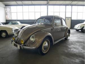 Immagine 3/27 di Volkswagen Beetle 1200 Standard &quot;Oval&quot; (1955)
