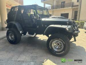 Image 8/10 of Jeep Wrangler Sport 2.5 (1996)