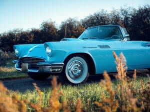 Bild 14/59 von Ford Thunderbird (1957)