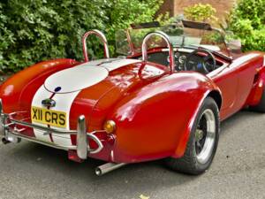 Afbeelding 15/50 van AC Cobra 289 (2000)