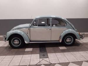 Immagine 5/16 di Volkswagen Beetle 1200 A (1965)