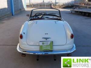 Bild 6/10 von Lancia Aurelia B24 Convertible (1958)