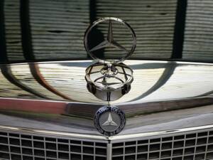 Imagen 19/79 de Mercedes-Benz 280 SE 3,5 (1970)