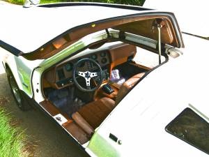 Image 5/8 de Bricklin SV-1 (1975)