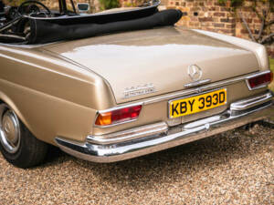 Image 10/50 de Mercedes-Benz 250 SE (1966)