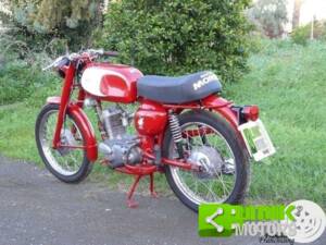 Afbeelding 6/10 van Moto Morini DUMMY (1964)