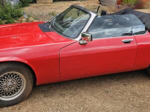 Bild 4/8 von Jaguar XJ-S Convertible (1989)