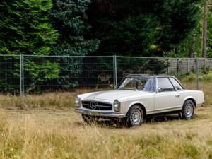 Image 27/46 of Mercedes-Benz 250 SL (1967)