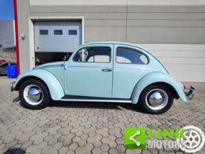 Image 9/10 of Volkswagen Beetle 1200 (1964)