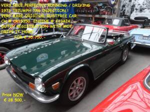 Immagine 27/33 di Triumph TR 6 PI (1973)