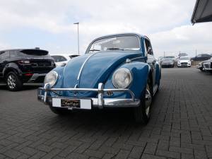 Immagine 3/17 di Volkswagen Coccinelle 1200 Export &quot;Dickholmer&quot; (1964)