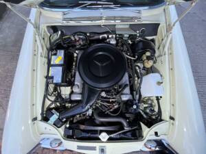 Image 50/50 of Mercedes-Benz 280 SE 3,5 (1971)