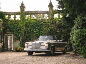 Image 33/50 de Mercedes-Benz 250 SE (1966)