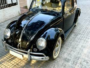 Image 2/31 of Volkswagen Beetle 1200 Export &quot;Oval&quot; (1954)