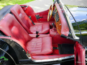 Image 10/54 of Morgan Plus 8 (1992)
