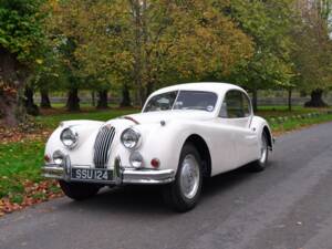 Image 7/28 of Jaguar XK 140 FHC (1955)