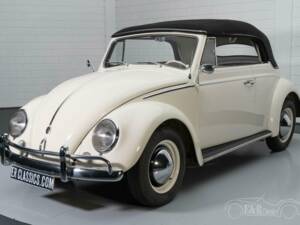 Image 15/19 of Volkswagen Beetle 1200 Convertible (1960)