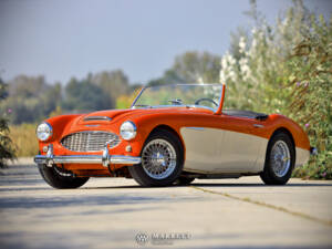 Afbeelding 2/40 van Austin-Healey 3000 Mk I (BN7) (1959)