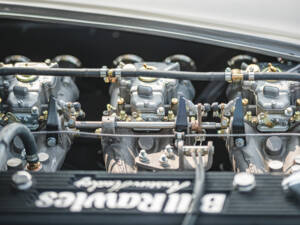Immagine 8/50 di Austin-Healey 3000 Mk I (BT7) (1959)