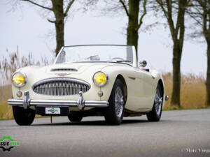 Immagine 20/50 di Austin-Healey 3000 Mk II (BT7) (1961)