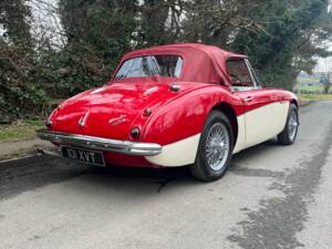 Afbeelding 20/21 van Austin-Healey 3000 Mk II (BN7) (1962)